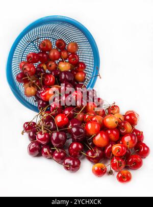 Frische Kirsche mit Wasser in blaues Sieb geben Stockfoto