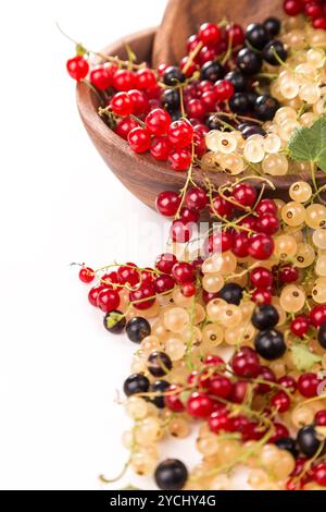 Johannisbeeren verschiedene Farben - rot, schwarz, weiß Stockfoto