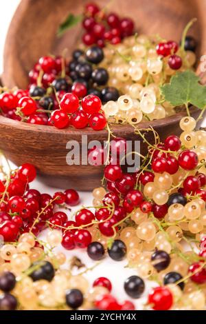 Johannisbeeren verschiedene Farben - rot, schwarz, weiß Stockfoto