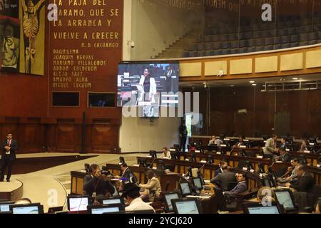 POLITISCHER PROZESS MINISTRA PALENCIA Quito, Mittwoch, 23. Oktober 2024 Ministerin Monica Palencia, im Plenum der Nationalversammlung, in ihrem politischen Prozess, aufgeworfen von den Mitgliedern der Versammlung Paola Cabezas und Leonardo Berrezueta, von Revolucion Ciudadana im Legislativpalast Fotos API Rolando Enriquez Quito Pichincha Ecuador POL POLITISCHER PROZESS MINISTER PALENCIA Stockfoto