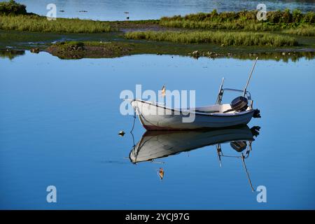 Kleines Fischerboot mit Außenbordmotor, das neben einer roten Boje in der Nähe des Ufers vertäut ist Stockfoto