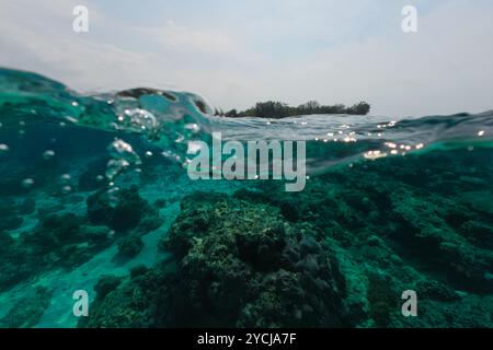 Oberflächen- und Unterwasserwelt des blauen Ozeans mit Korallenriffen und tropischen Fischen Stockfoto