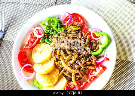 Eine Fertigmahlzeit mit Grashüpfern ( Nsenene) im Serenada Eco Resort - Uganda. Grashüpfer sind eine saisonale Delikatesse in Uganda. Stockfoto