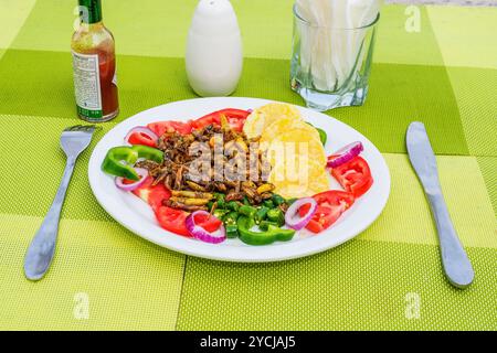 Eine Fertigmahlzeit mit Grashüpfern ( Nsenene) im Serenada Eco Resort - Uganda. Grashüpfer sind eine saisonale Delikatesse in Uganda. Stockfoto