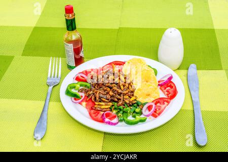 Eine Fertigmahlzeit mit Grashüpfern ( Nsenene) im Serenada Eco Resort - Uganda. Grashüpfer sind eine saisonale Delikatesse in Uganda. Stockfoto