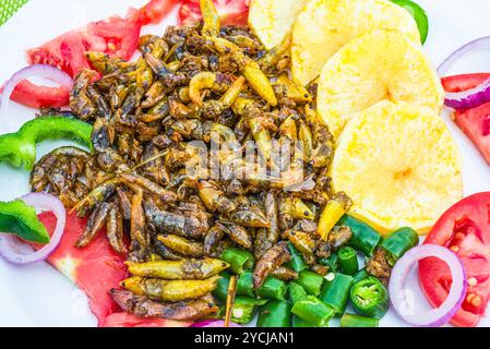 Eine Fertigmahlzeit mit Grashüpfern ( Nsenene) im Serenada Eco Resort - Uganda. Grashüpfer sind eine saisonale Delikatesse in Uganda. Stockfoto