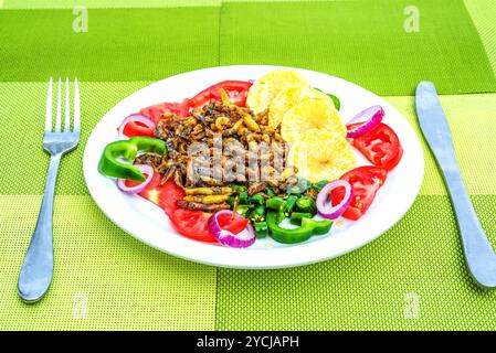 Eine Fertigmahlzeit mit Grashüpfern ( Nsenene) im Serenada Eco Resort - Uganda. Grashüpfer sind eine saisonale Delikatesse in Uganda. Stockfoto