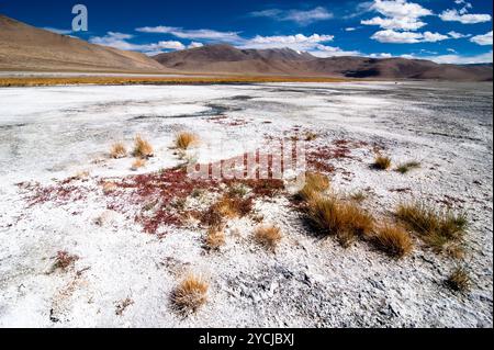 Indische Himalaya-Landschaft mit Salzsee TSO Kar Stockfoto