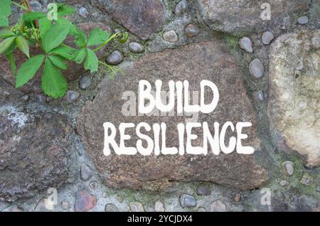 Symbol für Belastbarkeit erstellen. Steinmauer mit Worten schafft Widerstandsfähigkeit. Wunderschöner Steinhintergrund. Business- und Build Resilience-Konzept. Kopierbereich. Stockfoto