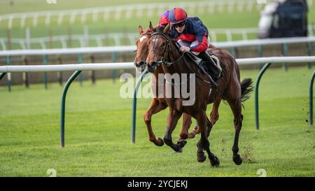 Newmarket, Großbritannien. Oktober 2024. Aidan Keeley (R) Riding Misty Sky gewinnt die Restricted Novice Stakes der Prestige Vehicles Fillies. Der Two-Year-Old Day ist ein Pferderenntreffen, das auf den Newmarket Racecourses stattfindet, bei dem sechs der sieben Wettbewerbe ausschließlich für Pferde in der ersten Rennsaison stattfinden. Quelle: David Tramontan / Alamy Live News Stockfoto