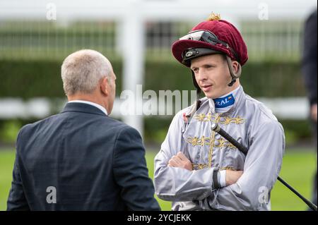 Newmarket, Großbritannien. Oktober 2024. David Probert wird im Paradering vor den Aston Martin Novice Stakes gesehen. Der Two-Year-Old Day ist ein Pferderenntreffen, das auf den Newmarket Racecourses stattfindet, bei dem sechs der sieben Wettbewerbe ausschließlich für Pferde in der ersten Rennsaison stattfinden. Quelle: David Tramontan / Alamy Live News Stockfoto