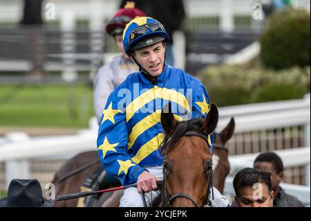 Newmarket, Großbritannien. Oktober 2024. James Doyle tritt in den Paradering ein, nachdem er die Aston Martin Novice Stakes gewonnen hat. Der Two-Year-Old Day ist ein Pferderenntreffen, das auf den Newmarket Racecourses stattfindet, bei dem sechs der sieben Wettbewerbe ausschließlich für Pferde in der ersten Rennsaison stattfinden. Quelle: David Tramontan / Alamy Live News Stockfoto