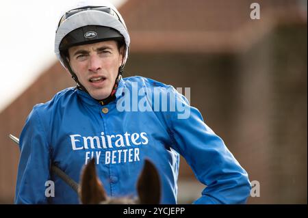 Newmarket, Großbritannien. Oktober 2024. James Doyle reitet Tremorgio auf dem Weg zum Siegergehege, nachdem er die Boodles Maiden Stakes gewonnen hatte. Der Two-Year-Old Day ist ein Pferderenntreffen, das auf den Newmarket Racecourses stattfindet, bei dem sechs der sieben Wettbewerbe ausschließlich für Pferde in der ersten Rennsaison stattfinden. Quelle: David Tramontan / Alamy Live News Stockfoto