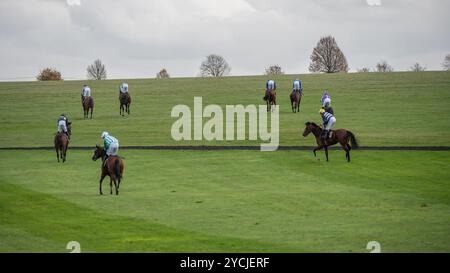 Newmarket, Großbritannien. Oktober 2024. Eine allgemeine Ansicht der Läufer und Fahrer nach dem Wettkampf in den Aston Martin Novice Stakes. Der Two-Year-Old Day ist ein Pferderenntreffen, das auf den Newmarket Racecourses stattfindet, bei dem sechs der sieben Wettbewerbe ausschließlich für Pferde in der ersten Rennsaison stattfinden. Quelle: David Tramontan / Alamy Live News Stockfoto