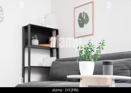 Couchtisch mit Zimmerpflanze und Luftbefeuchter im modernen Wohnzimmer Stockfoto