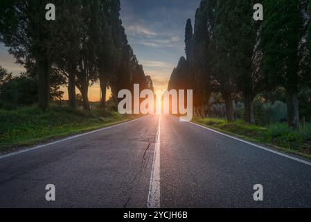 Die von Zypressen gesäumte Straße Bolgheri und die Sonne in der Mitte. Dies ist der historische Boulevard von Carducci' Dichter Davanti San Guido. Alta Marem Stockfoto