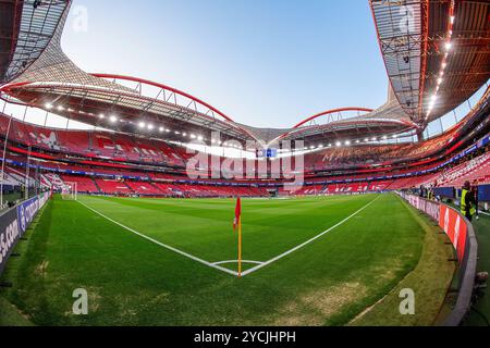 Lissabon, Portugal. Oktober 2024. LISSABON, Estadio da Luz, 23.10.2024, Saison 2024/2025, UEFA Champions League. Während des Spiels Benfica - Feyenoord, Stadionübersicht Credit: Pro Shots/Alamy Live News Stockfoto