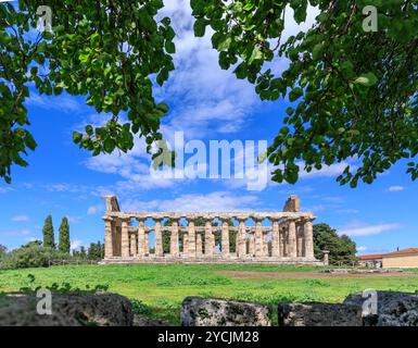 Tempel der Athena in Paestum in Italien. Stockfoto