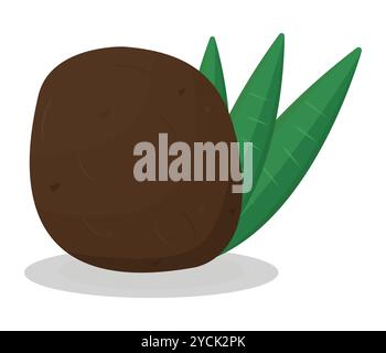 Ganze Kokosnuss mit Blättern, Vektorfarbe Illustration Stock Vektor