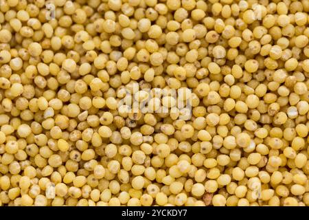 Kleine getrocknete Getreidesaaten im Hintergrund Stockfoto