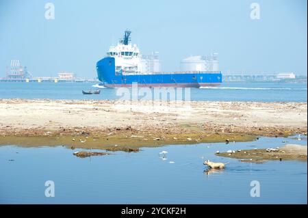 Verlassener Hund in verschmutzten Gewässern und an der Küste Stockfoto