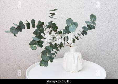 Frischer grüner Eukalyptus in der weißen Vase auf dem weißen Holztisch Stockfoto
