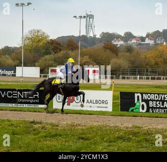 Monté-Pferderennen aus nordjütland, Dänemark Stockfoto