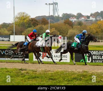 Monté-Pferderennen aus nordjütland, Dänemark Stockfoto