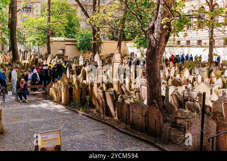 Alter jüdischer Friedhof, mehr von 12,500 Grabsteinen aus dreieinhalb Jahrhunderten prager judentum. Jüdische Stadt, Prag, Tschechische Republik, Europa Stockfoto