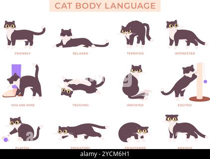 Poster in Katzensprache. Verschiedene Kätzchen-Posen, Tierspiel entspannt ängstliches Vertrauen ausgelassen. Katzen-Aktionen und Emotionen Karte, tierische Körperausdrücke rasend Stock Vektor