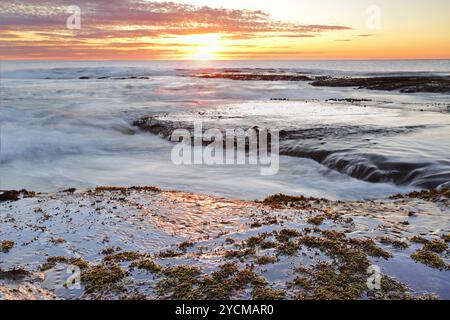 Sunrise Long Reef Australien Stockfoto