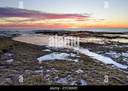 Sonnenaufgang am Long Reef Australien Stockfoto