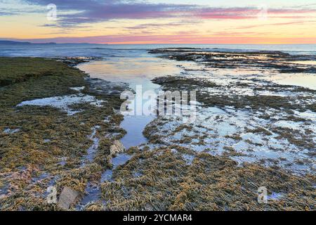 Der Überlauf, Long Reef, NSW, Australien Stockfoto