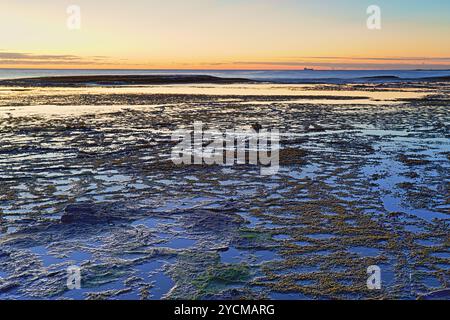 Wunderschönes Long Reef, NSW Australien kurz vor Sonnenaufgang Stockfoto