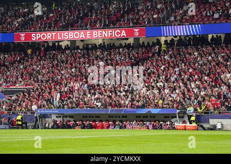 Lissabon, Portugal. Oktober 2024. Lissabon - FBC während der dritten Runde des neuen Formats der UEFA Champions League 2024/2025. Das Spiel findet am 23. Oktober 2024 in Lissabon, Portugal, zwischen SL Benfica und Feyenoord im Estadio da Luz statt. Credit: Box to Box Pictures/Alamy Live News Stockfoto