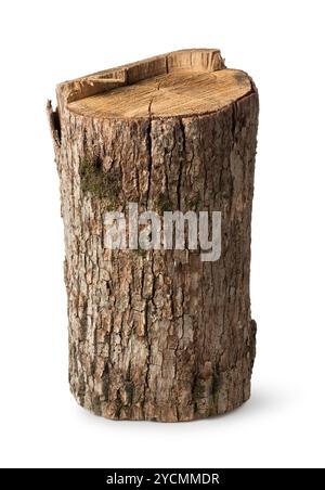 Großen stumpf Stockfoto