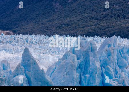 Galcier Eisberge, die im See schwimmen. Blaue Eiswände des riesigen patagonischen Gletschers Perito Moreno in Argentinien. Patagoniens Landskala aus blauem Eis Stockfoto