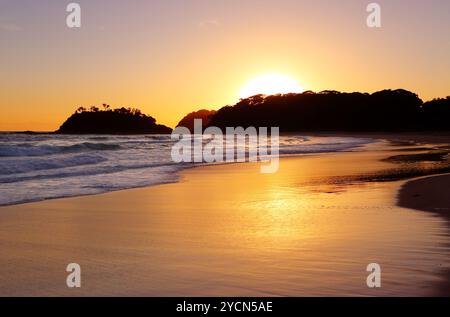 Die goldene Sonne geht hinter der Landzunge und der einsamen Insel am Number One Beach, Seal Rocks, NSW Australien auf. Der Strand ist 1,3 km lang und kurvig Stockfoto