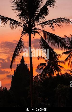 Farbenprächtigen Sonnenuntergang mit Silhouette der Prambanan-Tempel und Palm-Baum Stockfoto