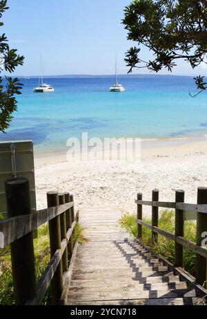 Von der Promenade aus blickt man auf den Cabbage Tree Beach Australien Stockfoto