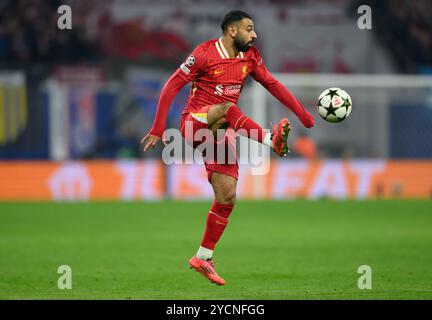 Liverpool's Mohamed Salah während des Gruppenspiels der UEFA Champions League in der RB Arena in Leipzig. Bilddatum: Mittwoch, 23. Oktober 2024. Stockfoto