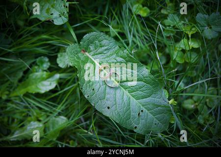 Zwei goldene Hochzeit Ringe liegen auf Blätter Pflanze. Stockfoto