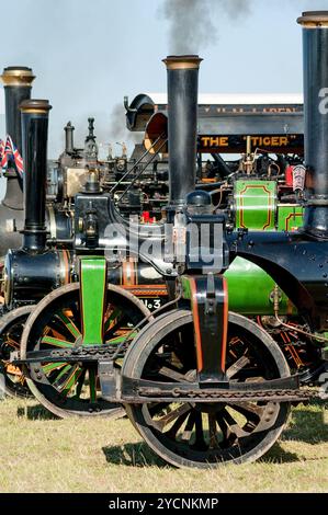 Dampflokomotiven auf der Ackworth Classic Vehicle Rally, West Yorkshire, Großbritannien im Jahr 2005 Stockfoto