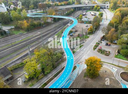 23. Oktober 2024, Baden-Württemberg, Tübingen: Die Westradbrücke in Tübingen, fotografiert mit einer Drohne. Die neue Brücke ist rund vier Meter breit, rund 365 Meter lang einschließlich der Rampen und zehn Meter hoch an ihrem höchsten Punkt. Die Fahrbahn wird im Winter beheizt, so dass kein Salz ausgebracht werden muss. Foto: Bernd Weißbrod/dpa Stockfoto