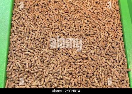 Holz-pellets Stockfoto