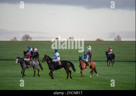 Newmarket, Großbritannien. Oktober 2024. Ein allgemeiner Überblick über Läufer und Fahrer nach dem Wettkampf im TrustATrader Kindergarten Handicap Stakes. Der Two-Year-Old Day ist ein Pferderenntreffen, das auf den Newmarket Racecourses stattfindet, bei dem sechs der sieben Wettbewerbe ausschließlich für Pferde in der ersten Rennsaison stattfinden. Quelle: SOPA Images Limited/Alamy Live News Stockfoto