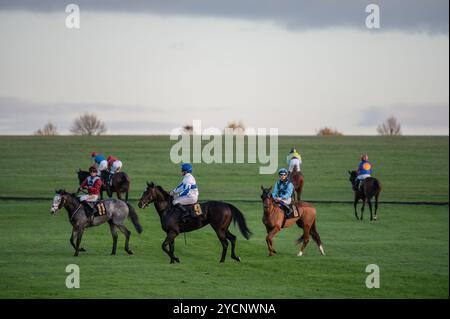 Newmarket, Großbritannien. Oktober 2024. Ein allgemeiner Überblick über Läufer und Fahrer nach dem Wettkampf im TrustATrader Kindergarten Handicap Stakes. Der Two-Year-Old Day ist ein Pferderenntreffen, das auf den Newmarket Racecourses stattfindet, bei dem sechs der sieben Wettbewerbe ausschließlich für Pferde in der ersten Rennsaison stattfinden. (Foto: David Tramontan/SOPA Images/SIPA USA) Credit: SIPA USA/Alamy Live News Stockfoto