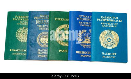 Verschiedene ausländische Pässe auf weißem Hintergrund Stockfoto