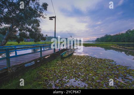 Ein heiteres Bild eines Sees in der Abenddämmerung. Ein hölzerner Pier mit blauem Geländer erstreckt sich in das ruhige Wasser, bedeckt mit üppigen grünen Pflanzen. Und ein kleines Boot ist Moo Stockfoto