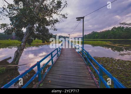 Ein friedliches Bild einer langen Holzbrücke, die sich über einen ruhigen See erstreckt. Das B hat blaue Geländer und ist von üppigem Grün umgeben. Stockfoto